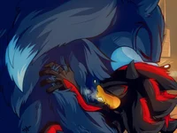 Sonic the werehog
