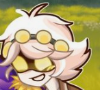 Serial Designation N