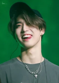 Han Jisung 
