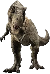 Rexy