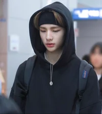 Stray Kids Kidnapper