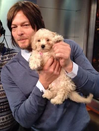 Norman Reedus