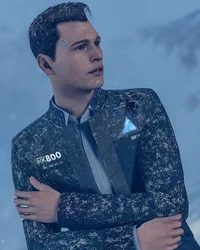 Connor dbh