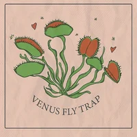 Venus Fly Trap
