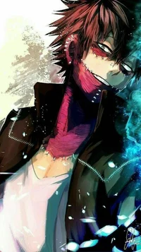 Touya todoroki