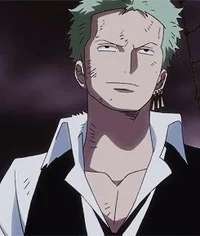 Teacher Zoro