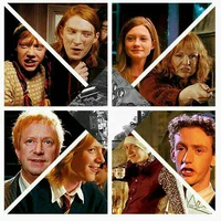 The weasleys 