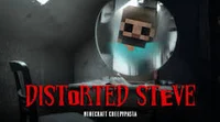 Distorted Steve