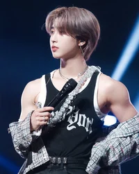 idol han jisung
