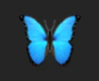 BUTTERFLY emoji