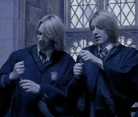 The Weasley Twins