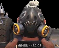 Roadhog
