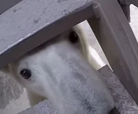 life in a deep freez