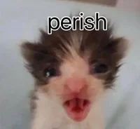 Perish cat