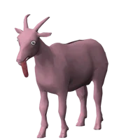 Pinky bank goat 