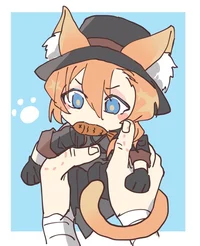 Cat Chuuya Nakahara