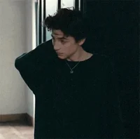 Regulus Black 