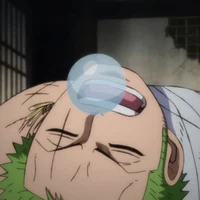 Sleeping Beau Zoro