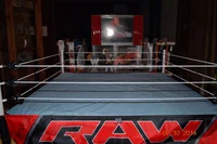 Working at the WWE