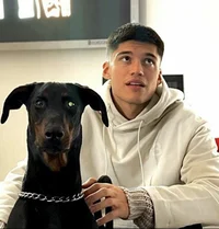 Doberman boy