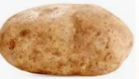 Potato