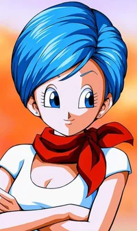 Bulma Briefs
