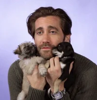 Jake Gyllenhaal