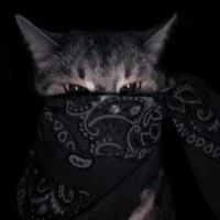 - Robber cat -