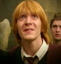 George Weasley 