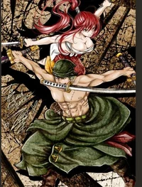 Zoro and Erza 