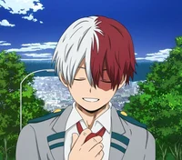 Shoto Todoroki 