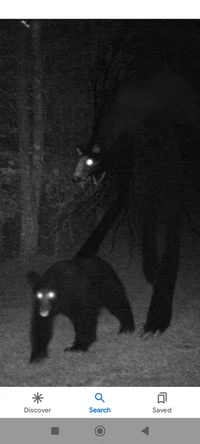 Unnatural Habitat V3