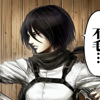 Mikasa