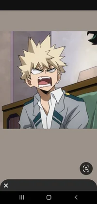 Funny bakugo