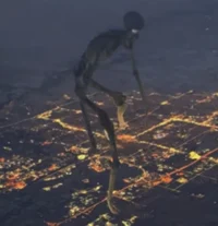 Large Skeleton