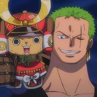 Roommate zoro