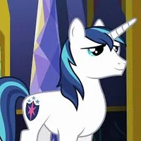 shining armor