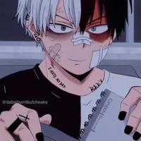 Emo Todoroki 