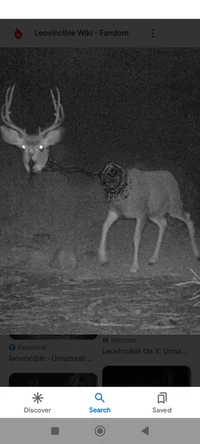 Unnatural Habitat V2