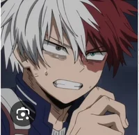 Shoto Todoroki 