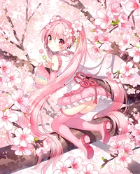 Sakura