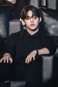SVT Seungcheol