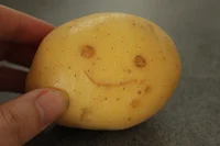 Potato