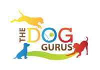 dog gurus