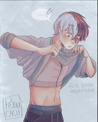 Shoto Todoroki
