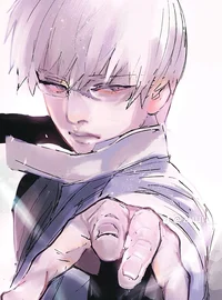 -Arima Kishou-