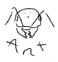 Ant colony