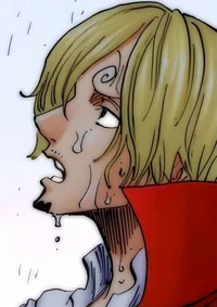 Sanji -WCI-