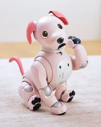 Aibo ers-1000