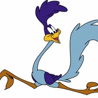 The Roadrunner